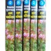 Bhraman Omnibus (Vol : 5 Vol Set)